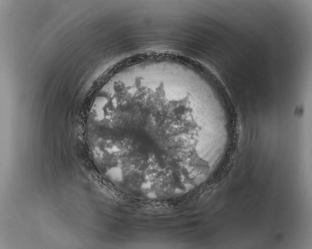 X0000114170823200911051525