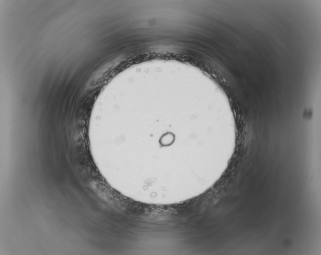 X0000114170824200911051525