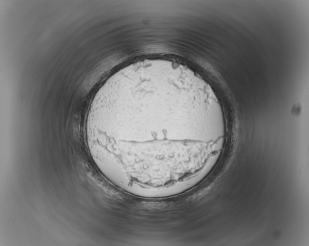 X0000114170825200911051525