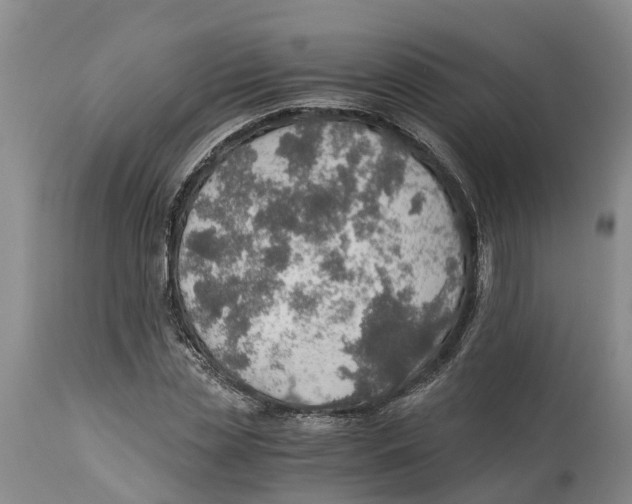 X0000114170829200911051525