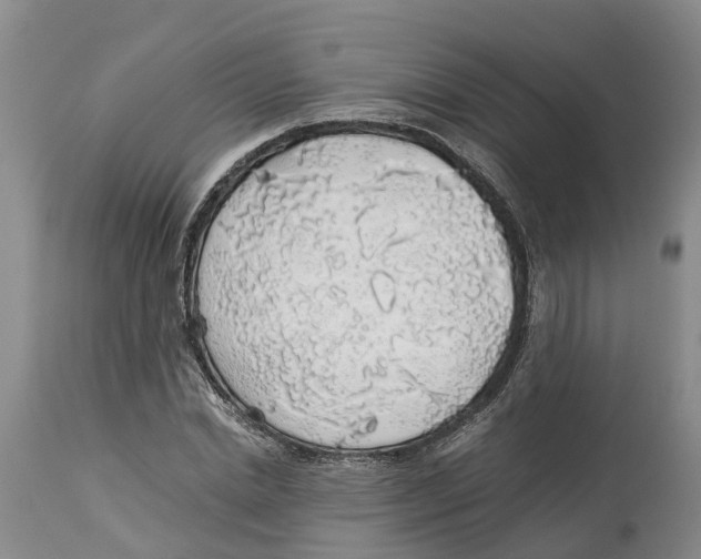 X0000114170830200911051525