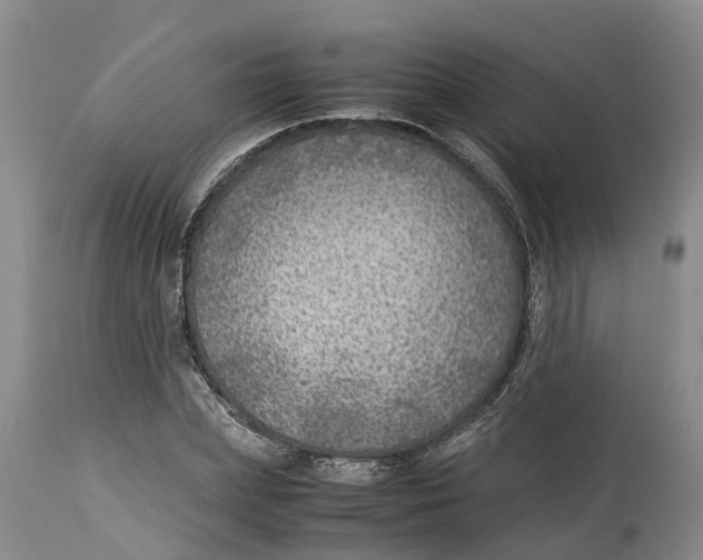 X0000114170831200911051525