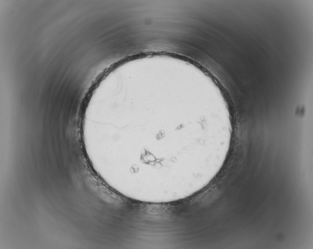 X0000114170832200911051525