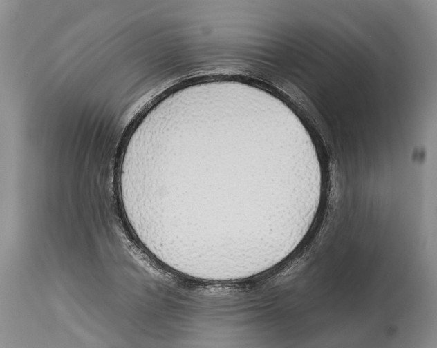 X0000114170834200911051525