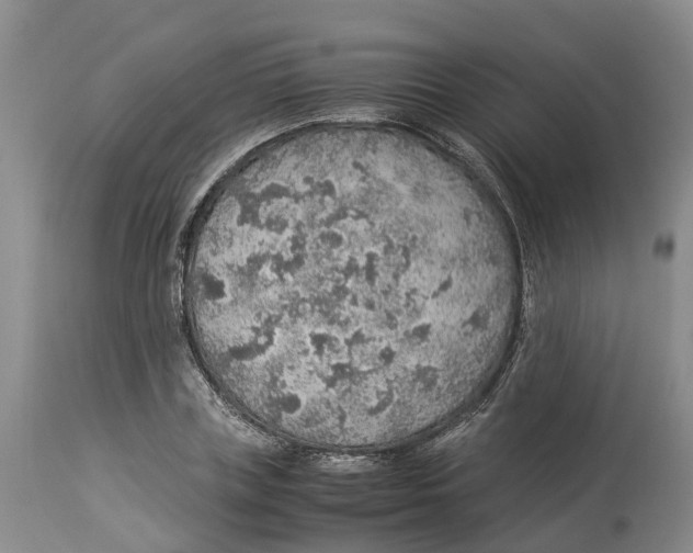 X0000114170835200911051525