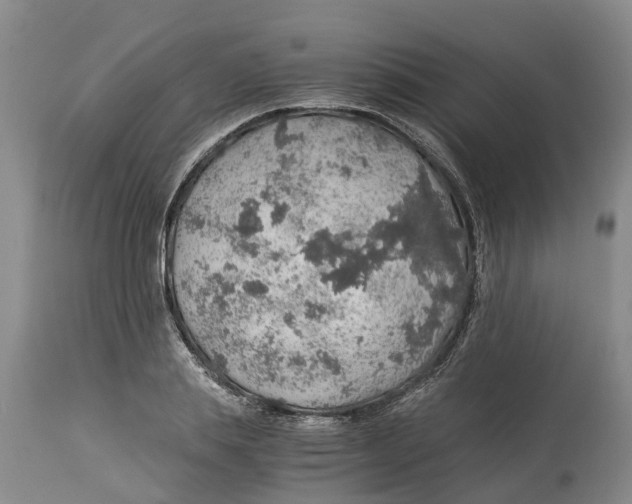 X0000114170839200911051525