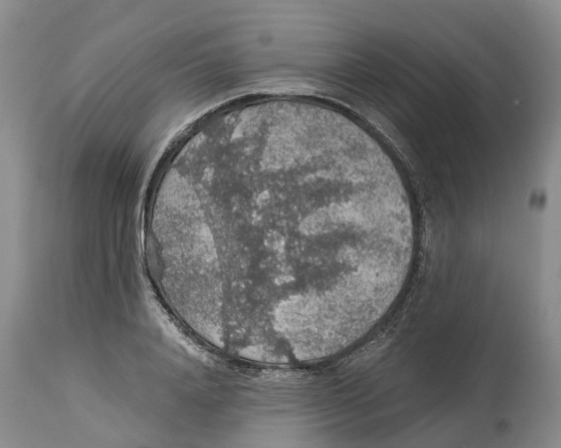 X0000114170840200911051525