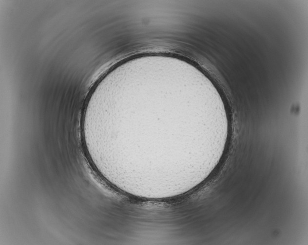 X0000114170842200911051525