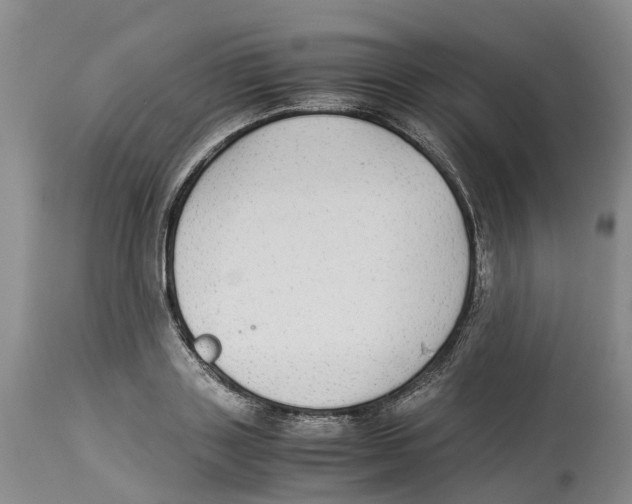 X0000114170843200911051525