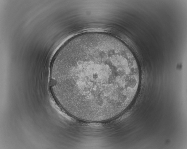 X0000114170844200911051525