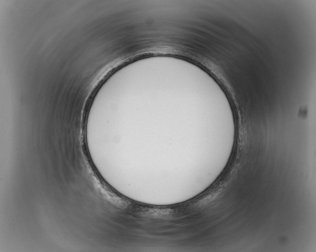 X0000114170845200911051525