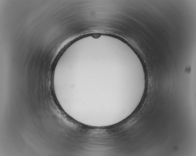 X0000114170846200911051525