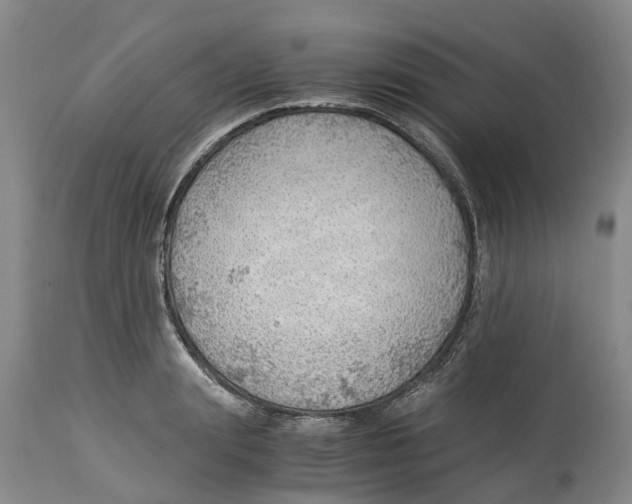 X0000114170847200911051525