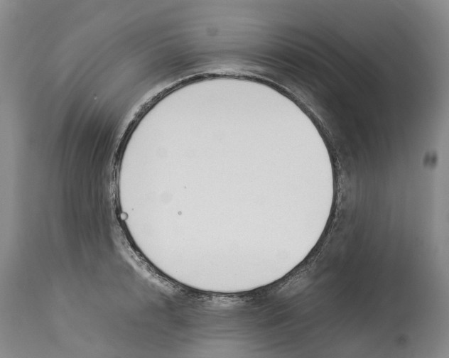 X0000114170848200911051525