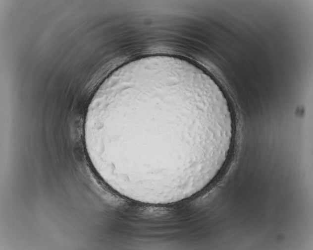 X0000114170849200911051525