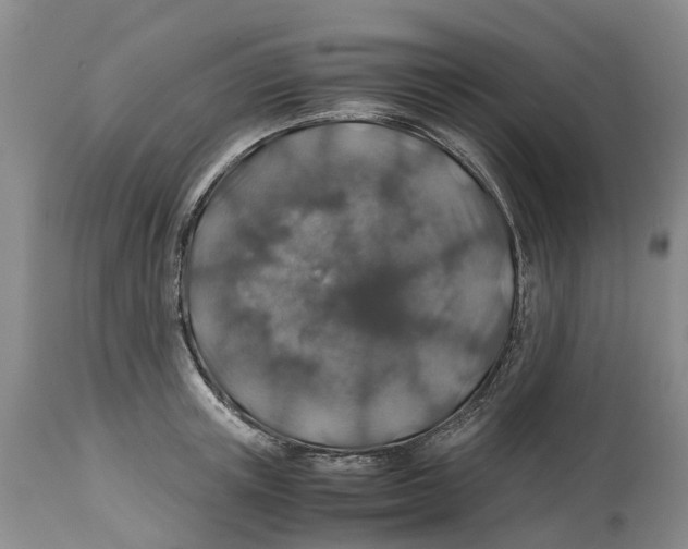 X0000114170851200911051525