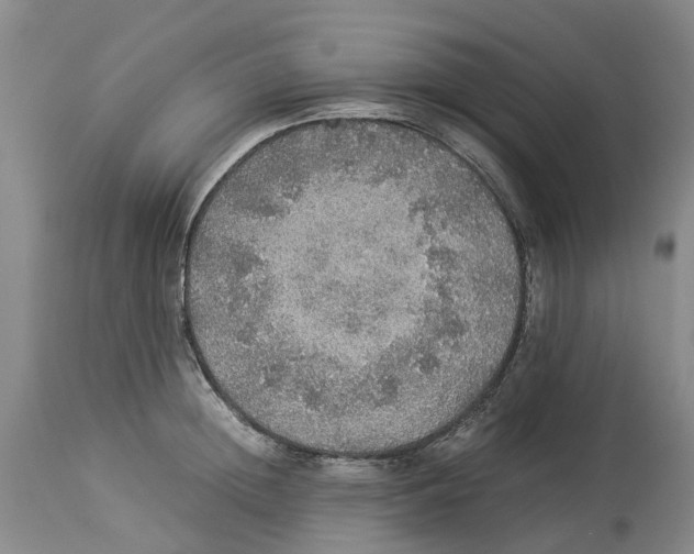 X0000114170852200911051526