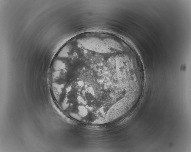 X0000114170855200911051526