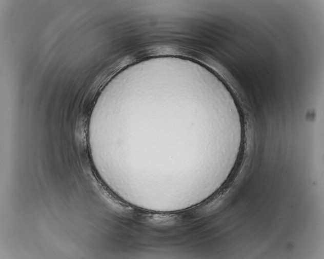 X0000114170857200911051526