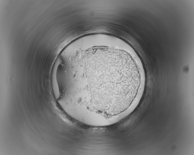 X0000114170858200911051526