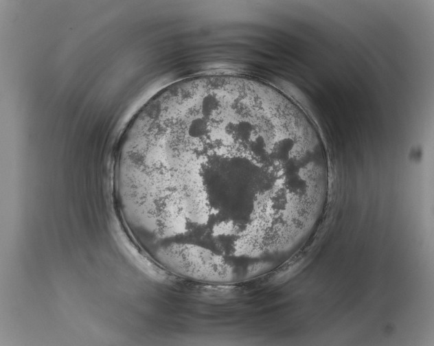 X0000114170859200911051526