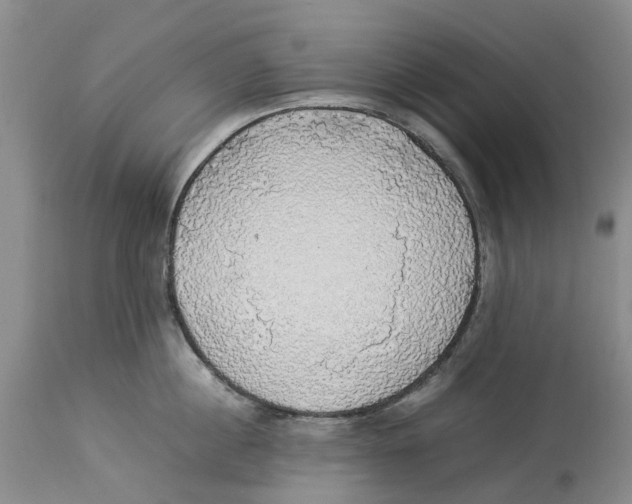 X0000114170860200911051526