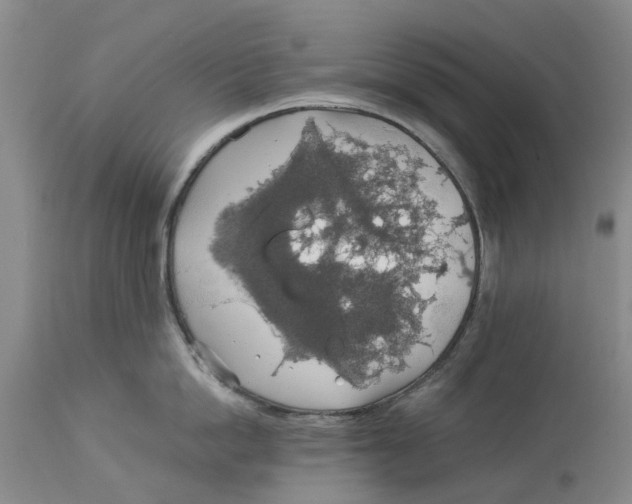 X0000114170862200911051526