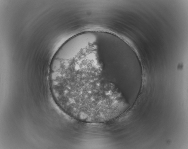 X0000114170863200911051526