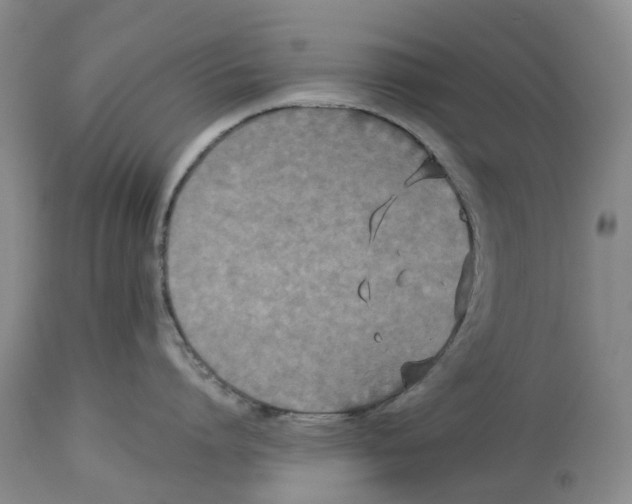 X0000114170864200911051526