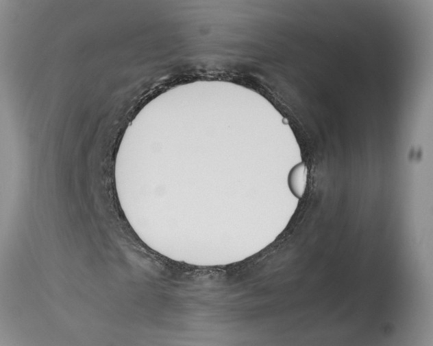 X0000114170865200911051525