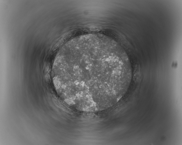 X0000114170866200911051525