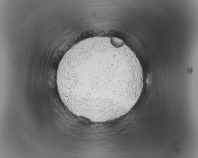 X0000114170867200911051525