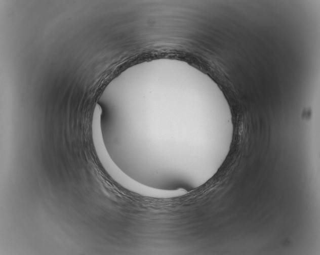 X0000114170868200911051525