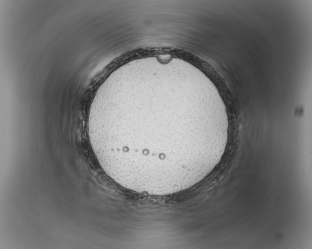 X0000114170871200911051525