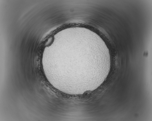 X0000114170872200911051525