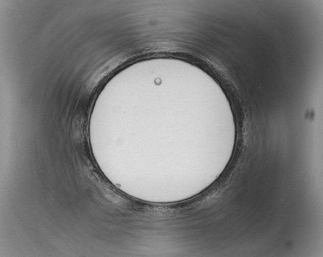 X0000114170873200911051525