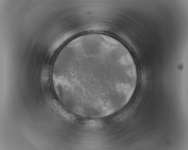 X0000114170874200911051525