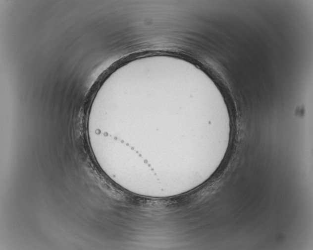 X0000114170875200911051525