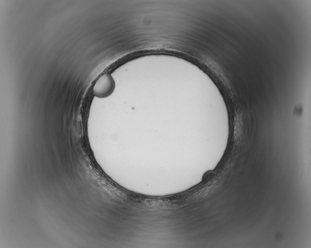 X0000114170876200911051525