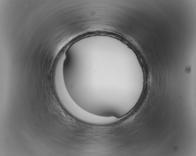 X0000114170877200911051525