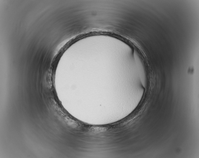 X0000114170878200911051525