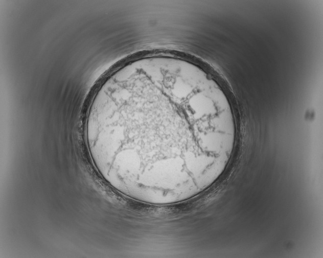 X0000114170879200911051525