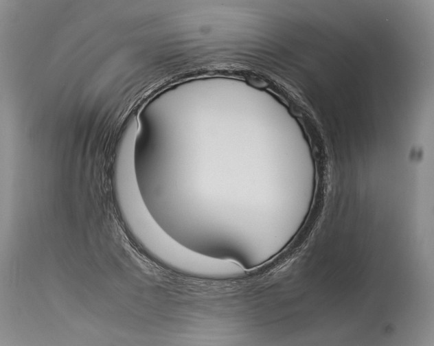 X0000114170881200911051525