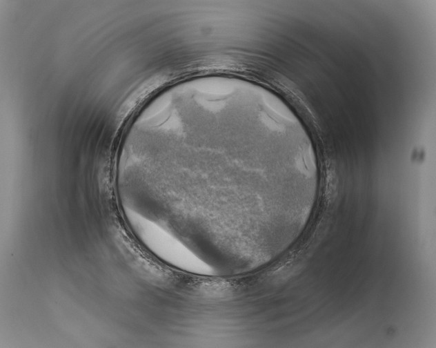 X0000114170882200911051525