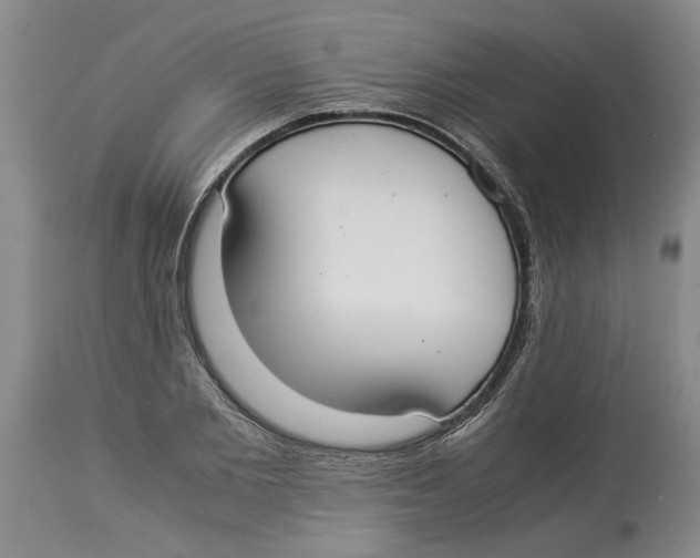 X0000114170885200911051525