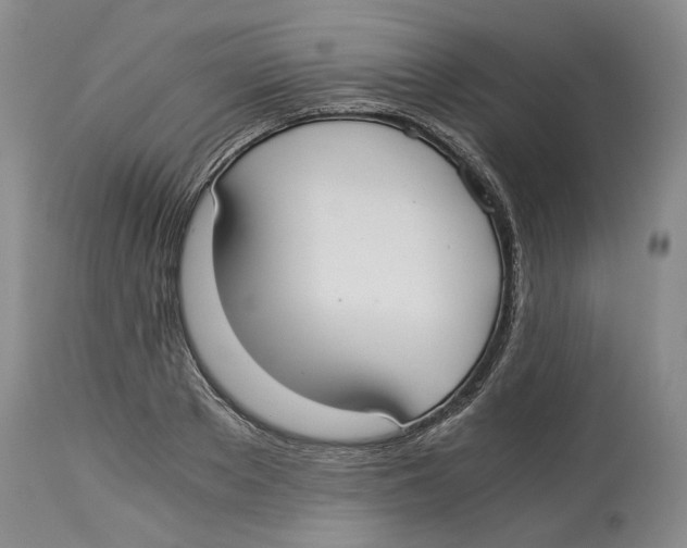 X0000114170889200911051525