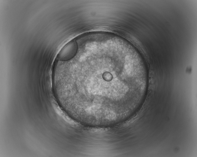 X0000114170892200911051525