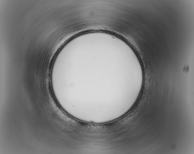 X0000114170895200911051525