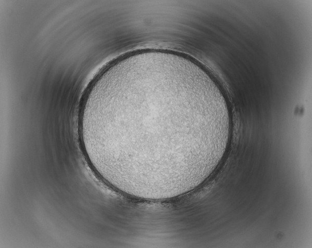 X0000114170896200911051525