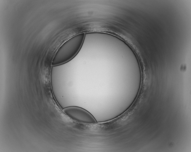 X0000114170897200911051525